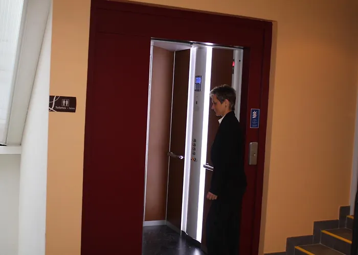 Logis Hotel- Restaurant La Renaissance 3* 巴卡拉