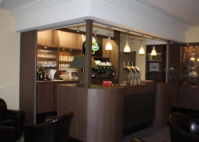 Logis Hotel- Restaurant La Renaissance 巴卡拉