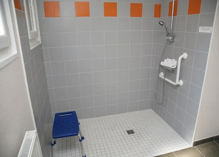 Logis Hotel- Restaurant La Renaissance 3* 巴卡拉